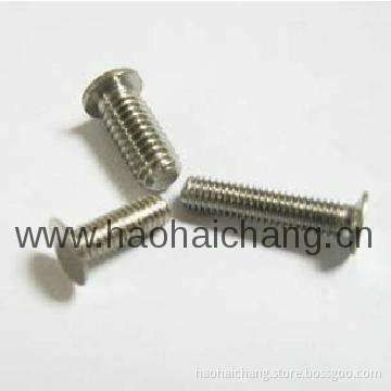 Fixing Screw (ISO 9001:2008 & ISO/TS16949)